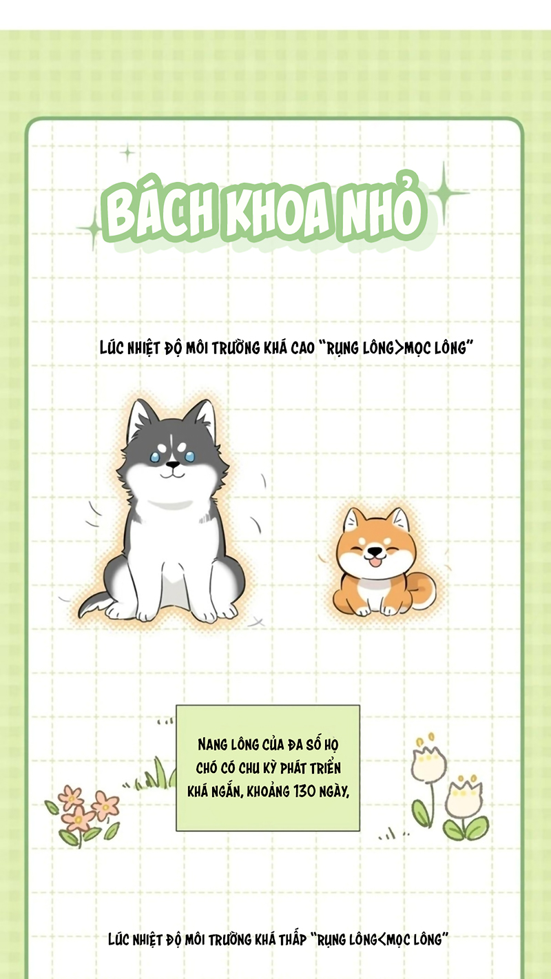 Lang Quân Muốn Chịu Trách Nhiệm Với Tôi Chap 28 - Next 