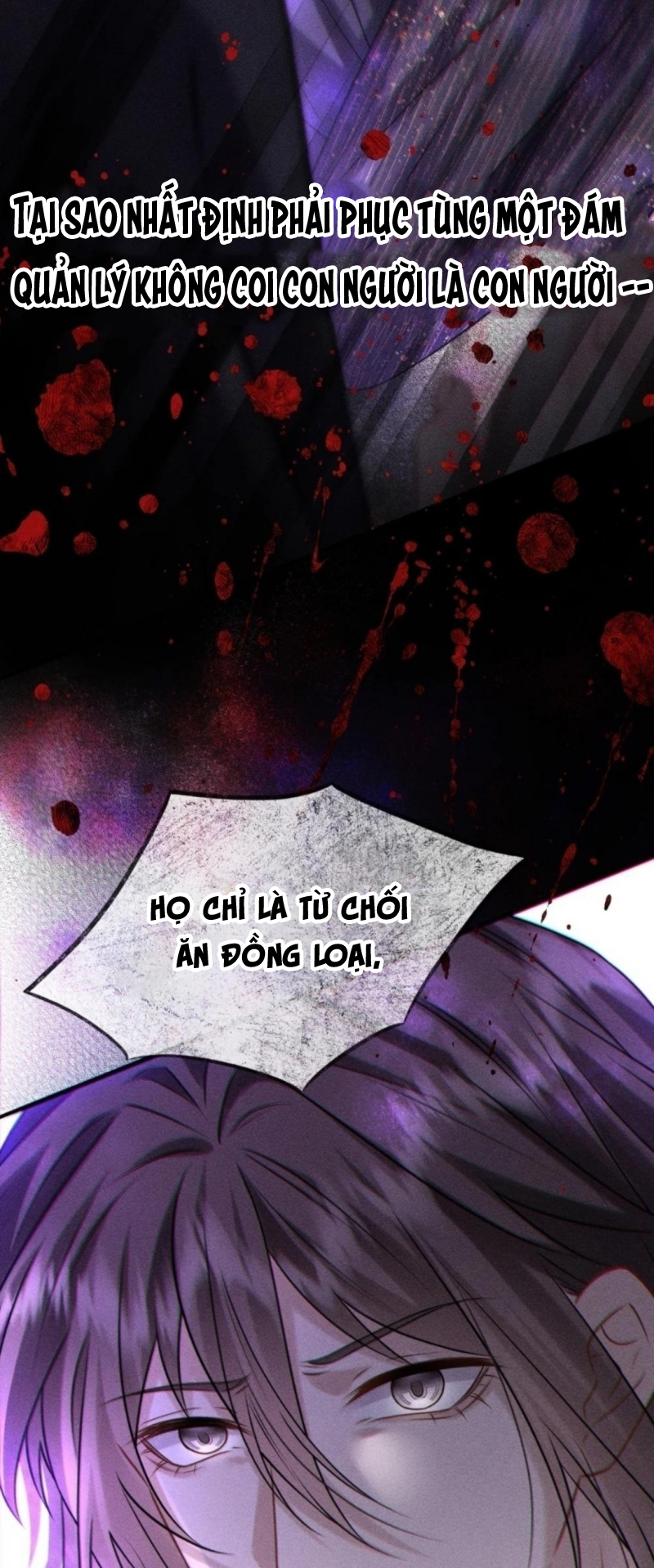 Nụ Hôn Nhẹ Lên Đóa Hoa Tuyệt Vọng Chap 36 - Trang 2