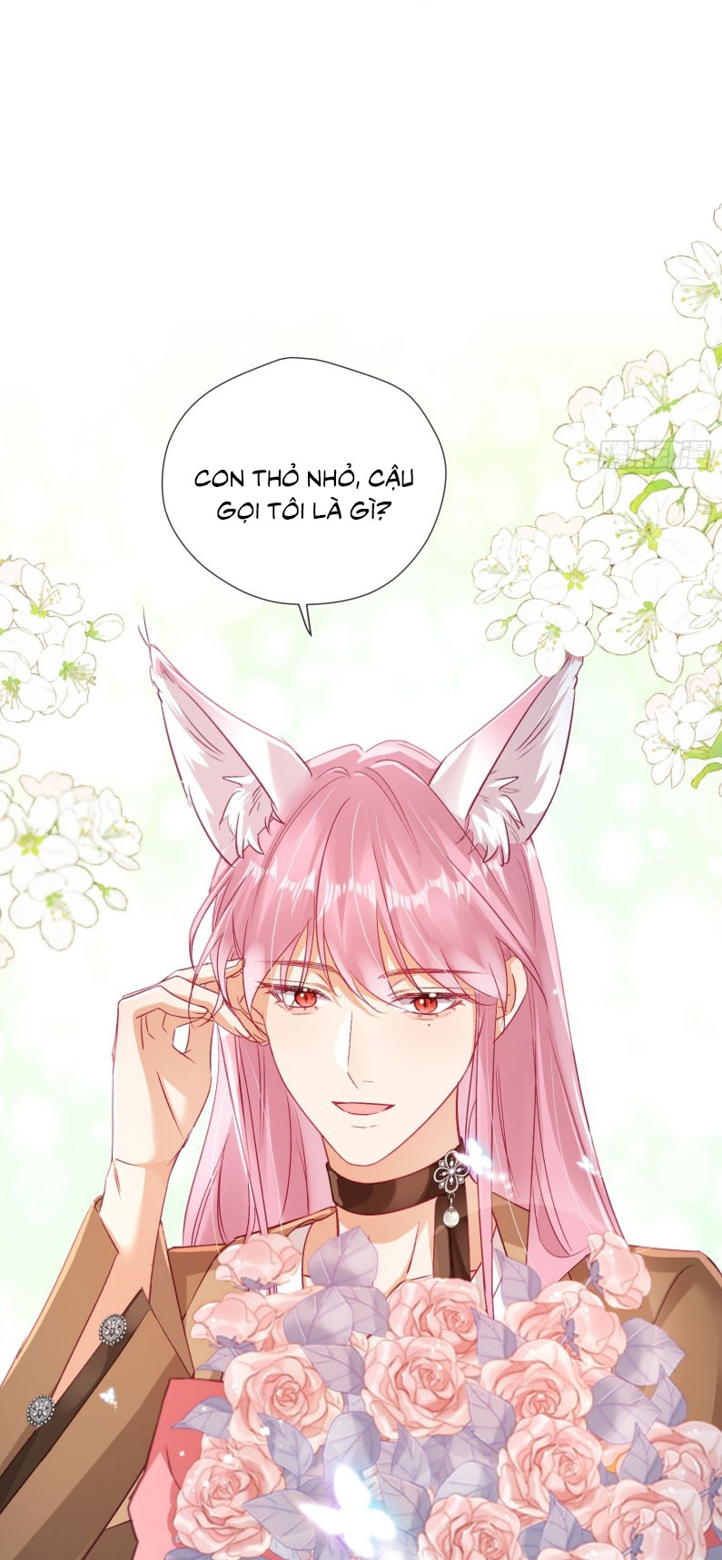 CẢ VŨ TRỤ ĐỀU MUỐN THÂN THIẾT VỚI TÔI Chap 7 - Trang 2