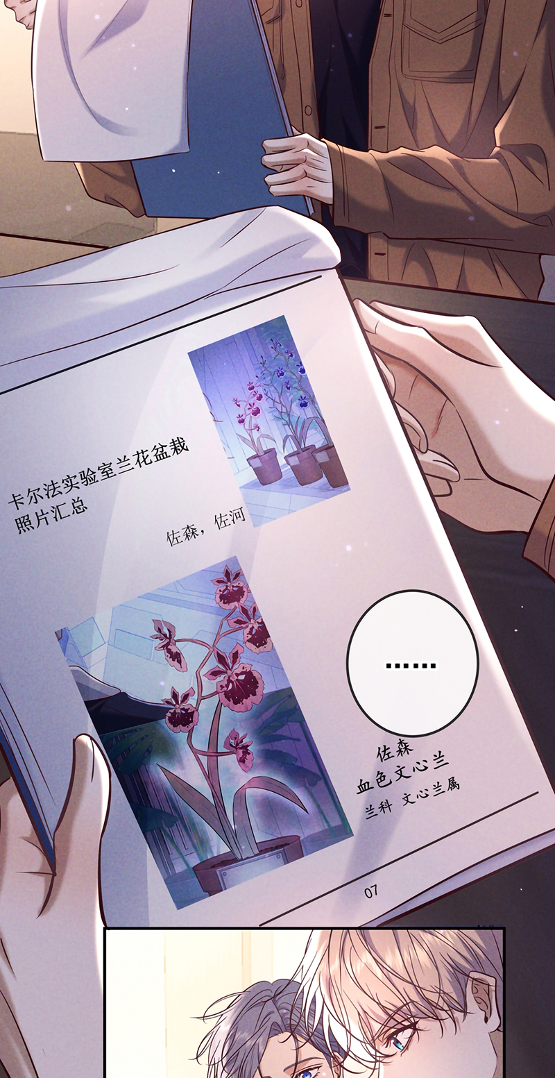 Đêm Tình Yêu Và Sát Ý Chap 87 - Next 