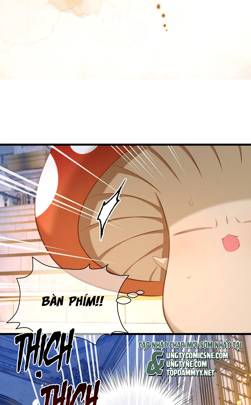 Tôi Trùng Sinh Trở Thành Tiểu Ác Long Của Vương Tử Điện Hạ Chap 104 - Trang 2