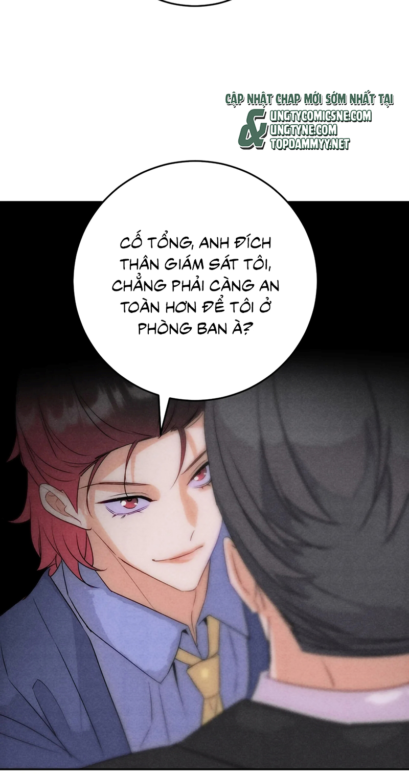 Xuyên Thành Con Ngỗng Vàng Của Đại Lão Alpha Chap 28 - Trang 2