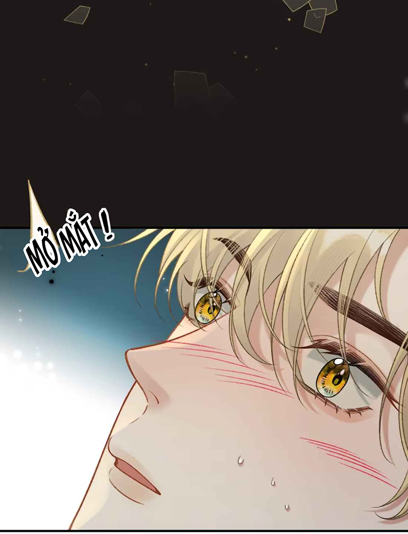 Xin Chào! Hệ Thống Quý Nhân Xin Được Phục Vụ Bạn Chap 24 - Trang 2