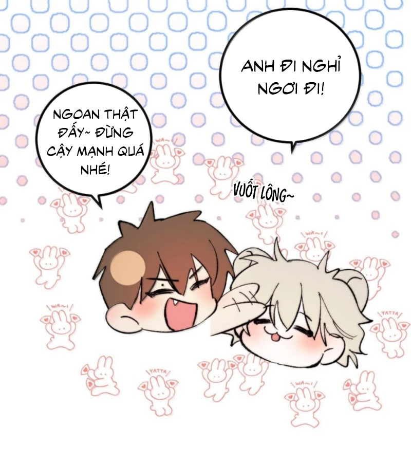 Mỗi Ngày Đều Muốn Làm Bệnh Kiều Vương Tử Xấu hổ Muốn Độn Thổ Chap 43 - Trang 2