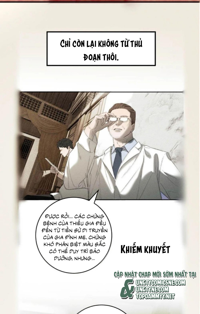 Mỗi Ngày Đều Muốn Làm Bệnh Kiều Vương Tử Xấu hổ Muốn Độn Thổ Chap 43 - Trang 2