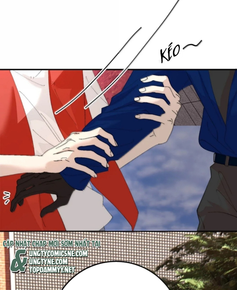 Mỗi Ngày Đều Muốn Làm Bệnh Kiều Vương Tử Xấu hổ Muốn Độn Thổ Chap 43 - Trang 2