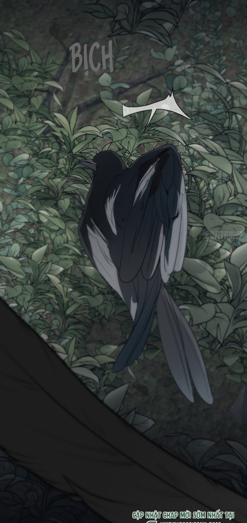 Mồi Nhử Chapter 12 - Trang 3