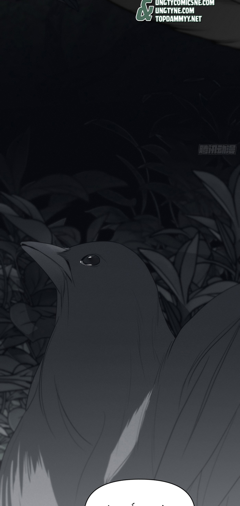 Mồi Nhử Chapter 12 - Trang 3