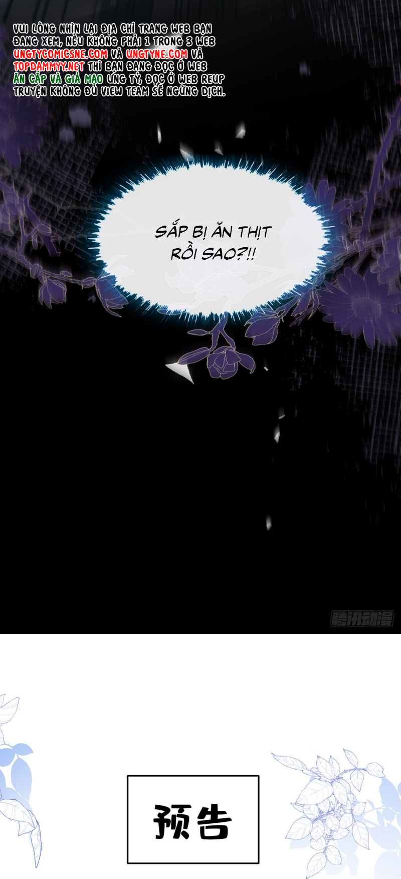 Lấy Trân Châu Làm Sính Lễ Chap 11 - Trang 2