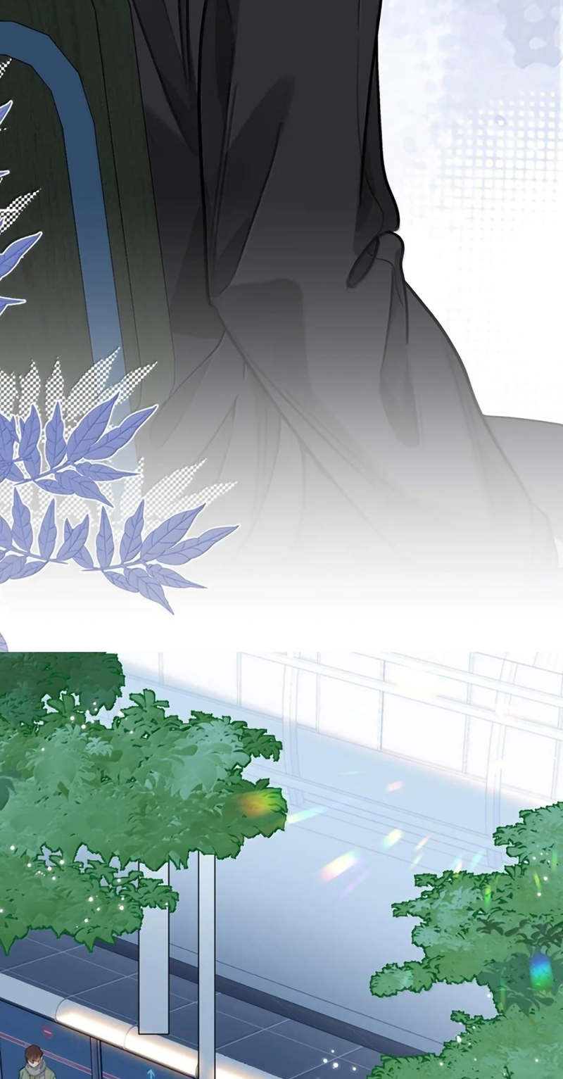 Tôi Thích Tin Tức Tố Của Cậu Chap 91 - Trang 2