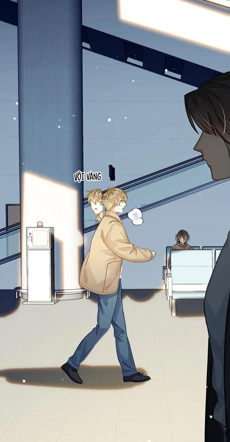 Tôi Thích Tin Tức Tố Của Cậu Chap 91 - Trang 2