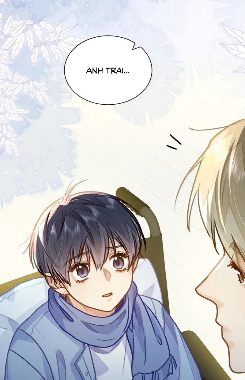 Tôi Thích Tin Tức Tố Của Cậu Chap 91 - Trang 2