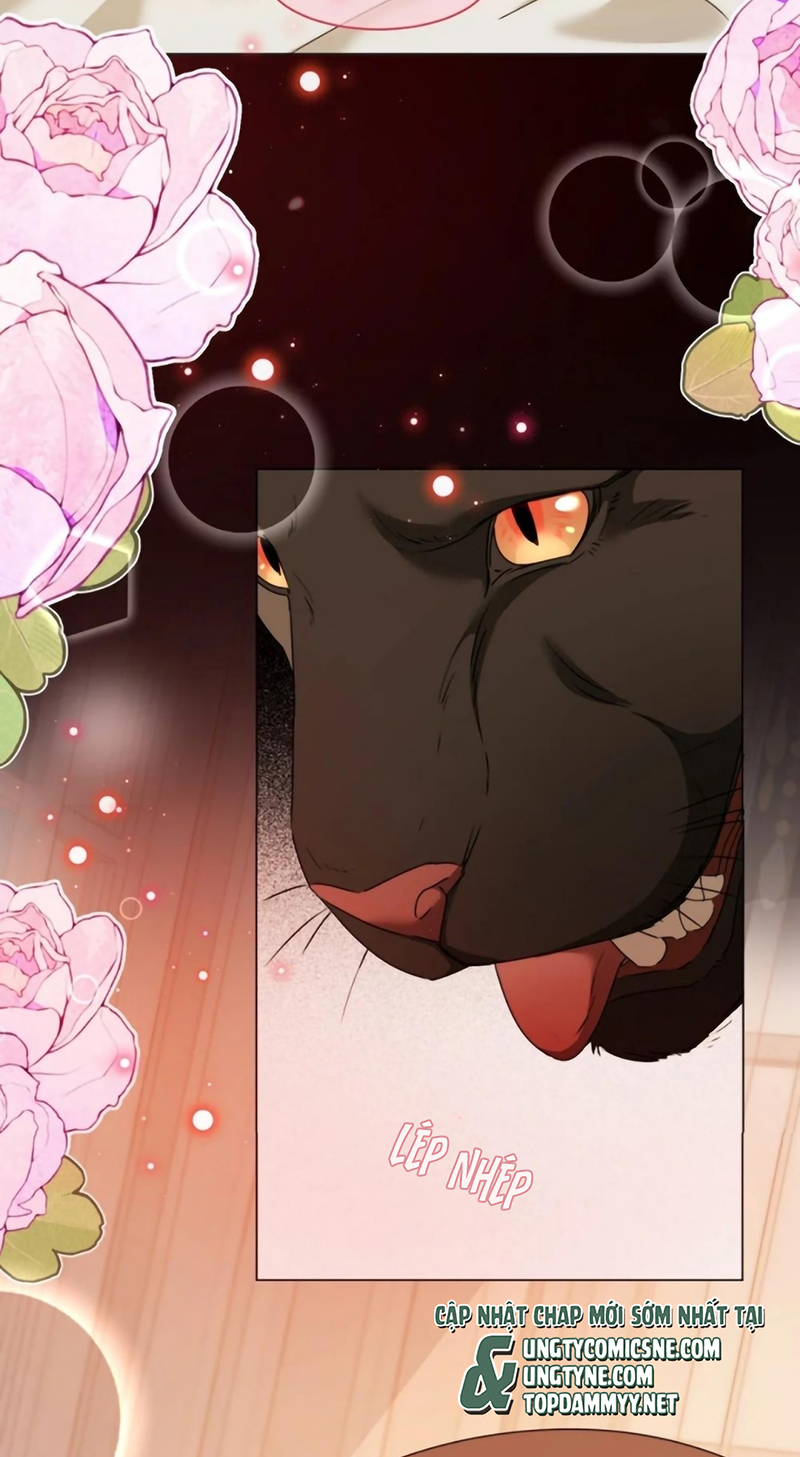 Vương Tử Bệnh Kiều Bị Báo Đen Chiếm Đoạt Đến Nghiện Chap 21 - Trang 2