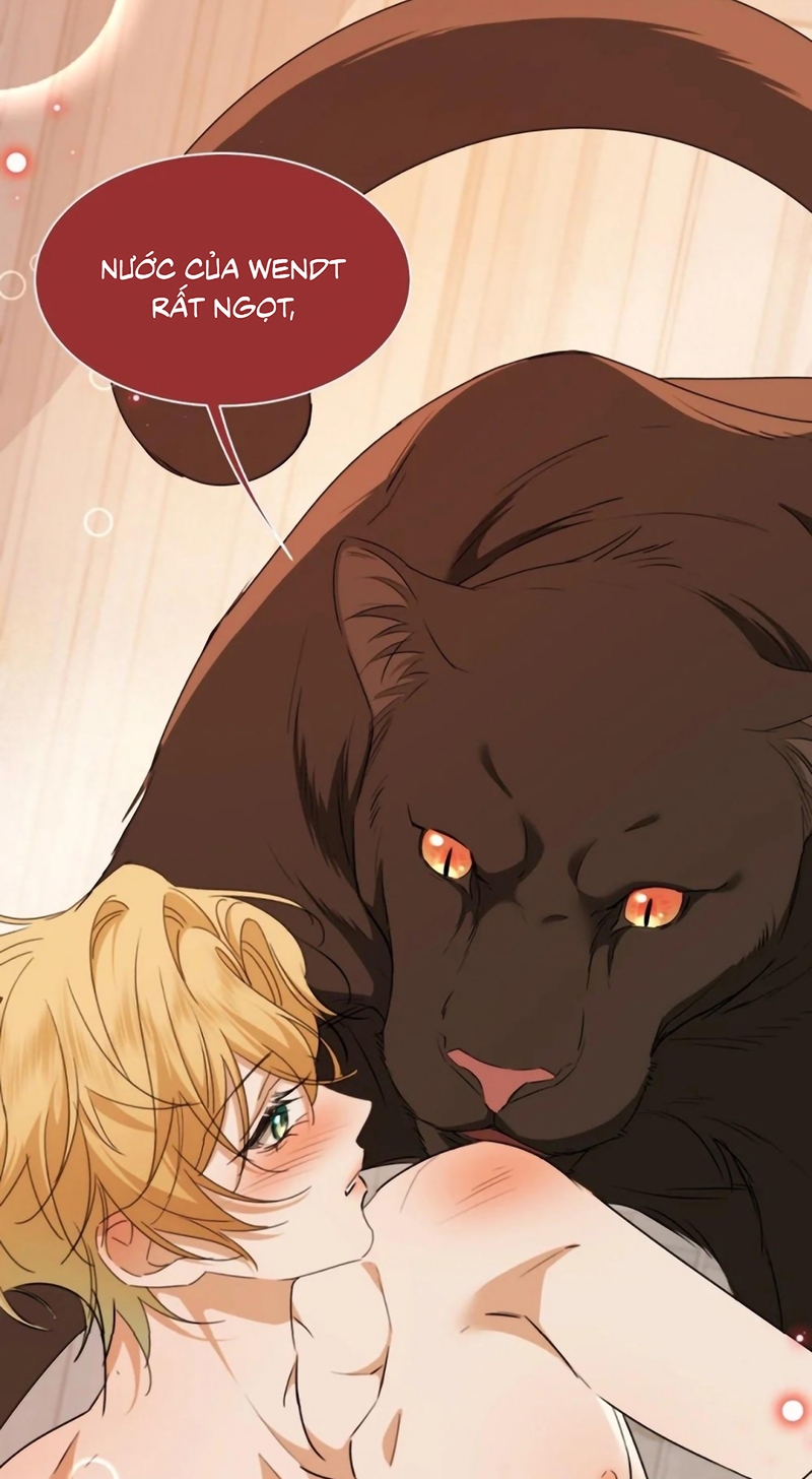 Vương Tử Bệnh Kiều Bị Báo Đen Chiếm Đoạt Đến Nghiện Chap 21 - Trang 2