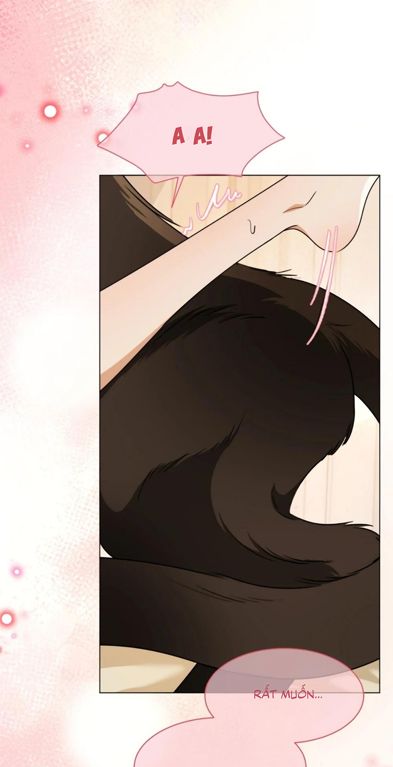 Vương Tử Bệnh Kiều Bị Báo Đen Chiếm Đoạt Đến Nghiện Chap 21 - Trang 2