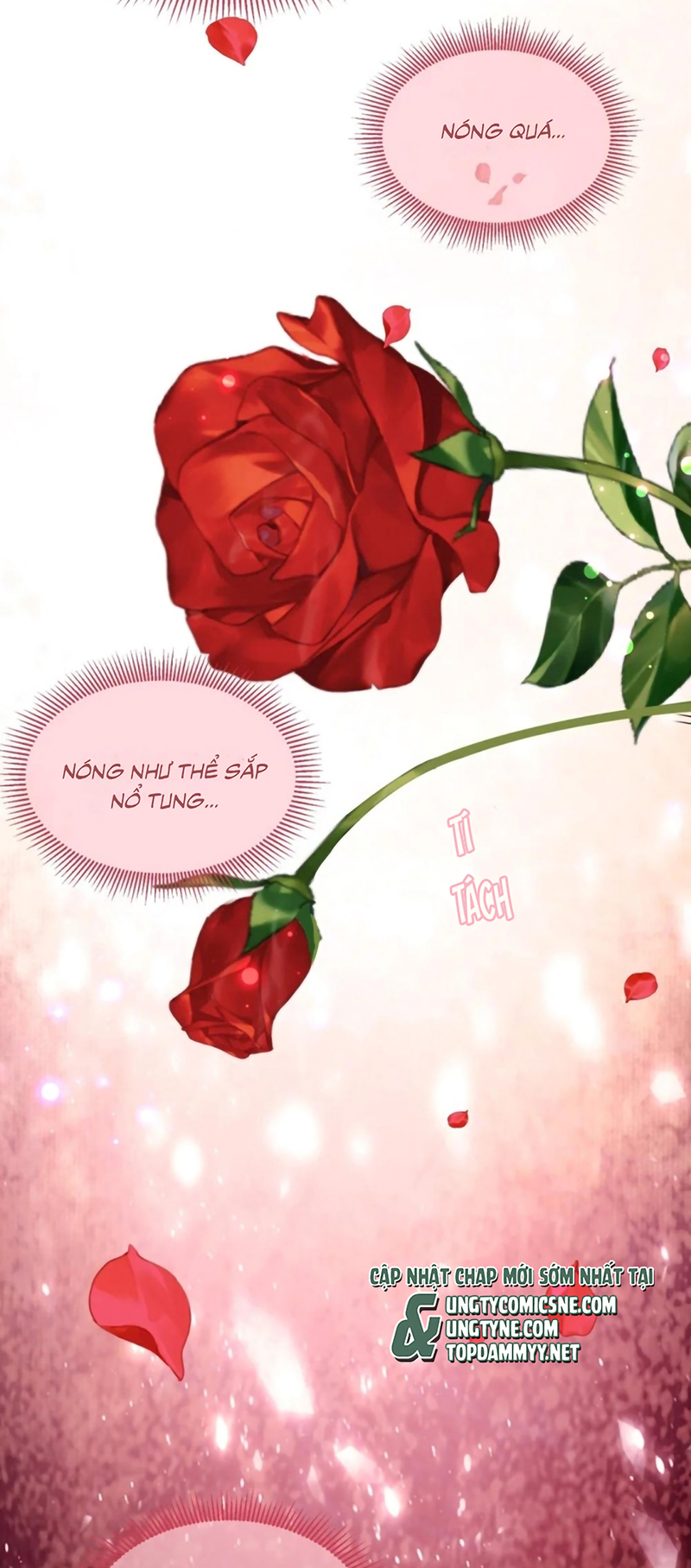 Vương Tử Bệnh Kiều Bị Báo Đen Chiếm Đoạt Đến Nghiện Chap 21 - Trang 2