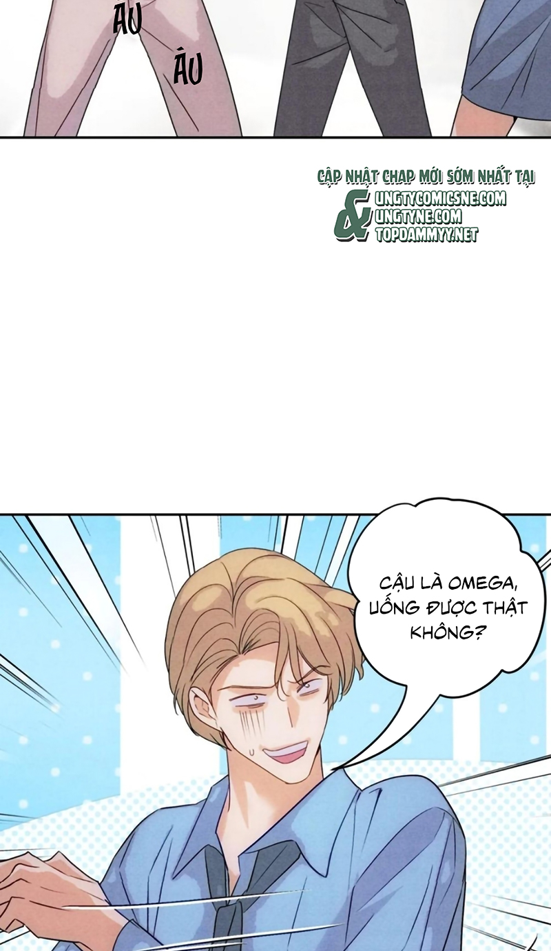 Xuyên Thành Con Ngỗng Vàng Của Đại Lão Alpha Chap 29 - Trang 2