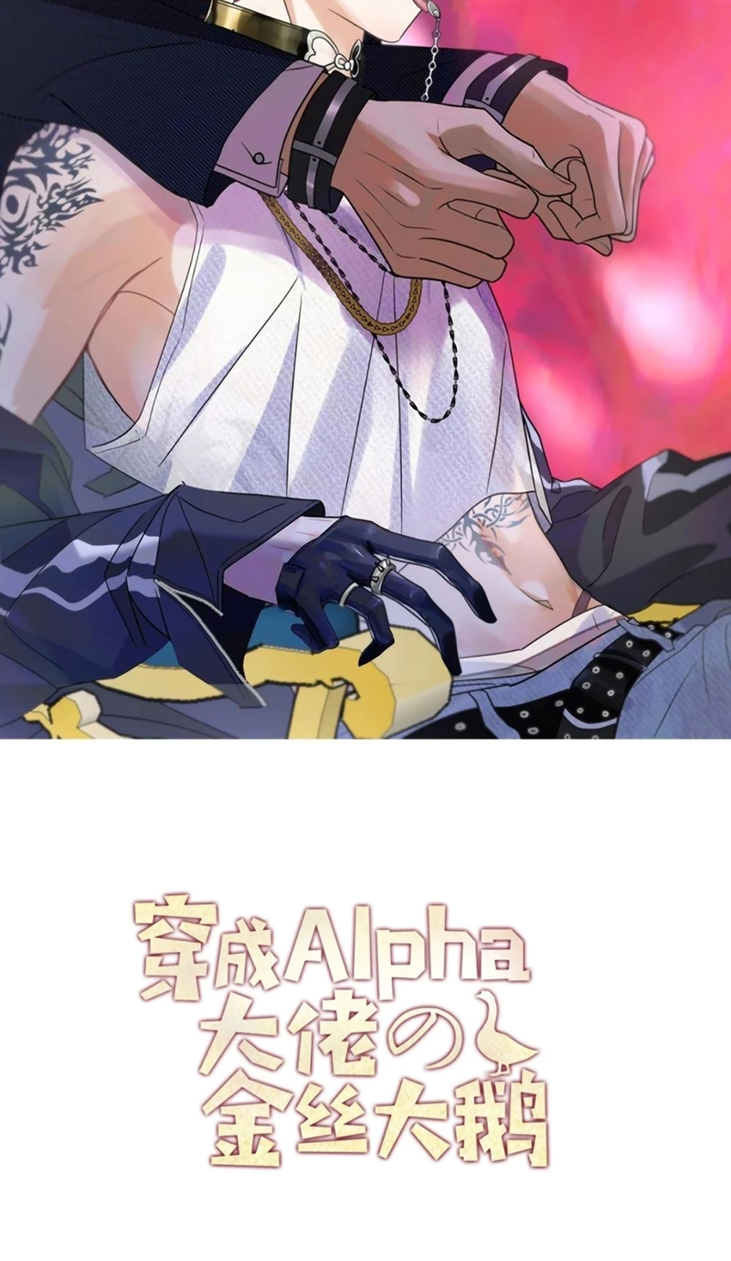 Xuyên Thành Con Ngỗng Vàng Của Đại Lão Alpha Chap 29 - Trang 2