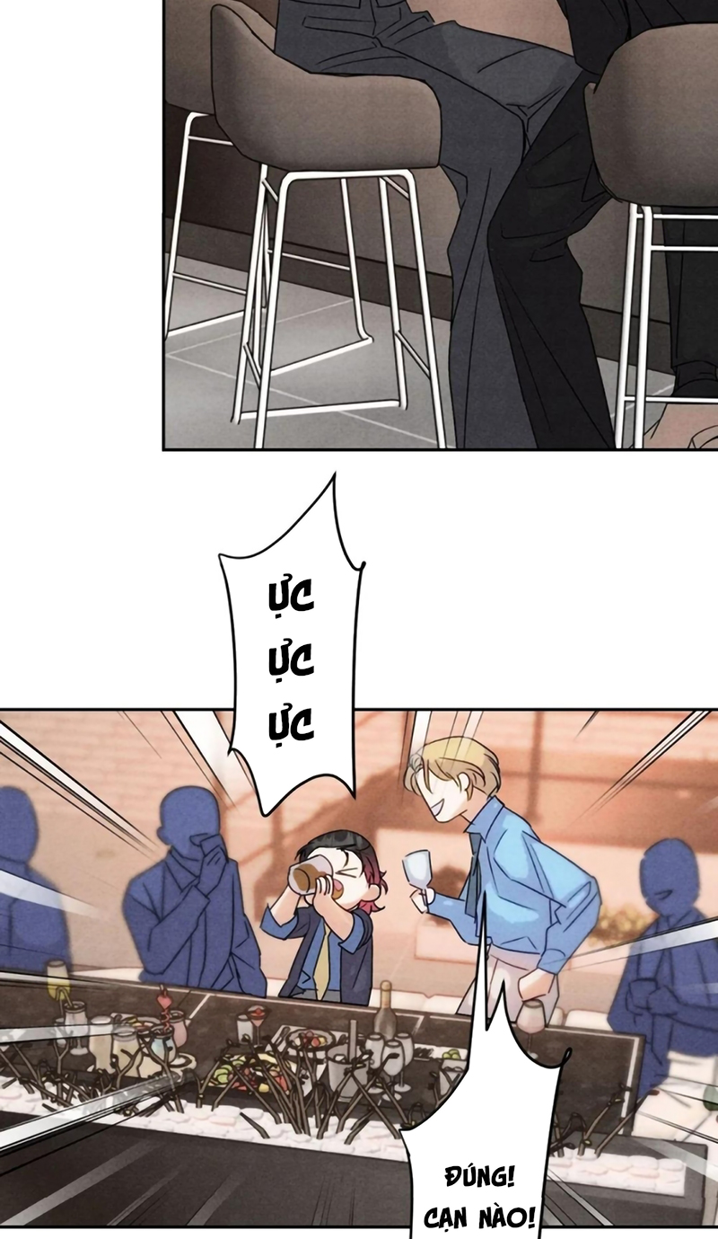 Xuyên Thành Con Ngỗng Vàng Của Đại Lão Alpha Chap 29 - Trang 2