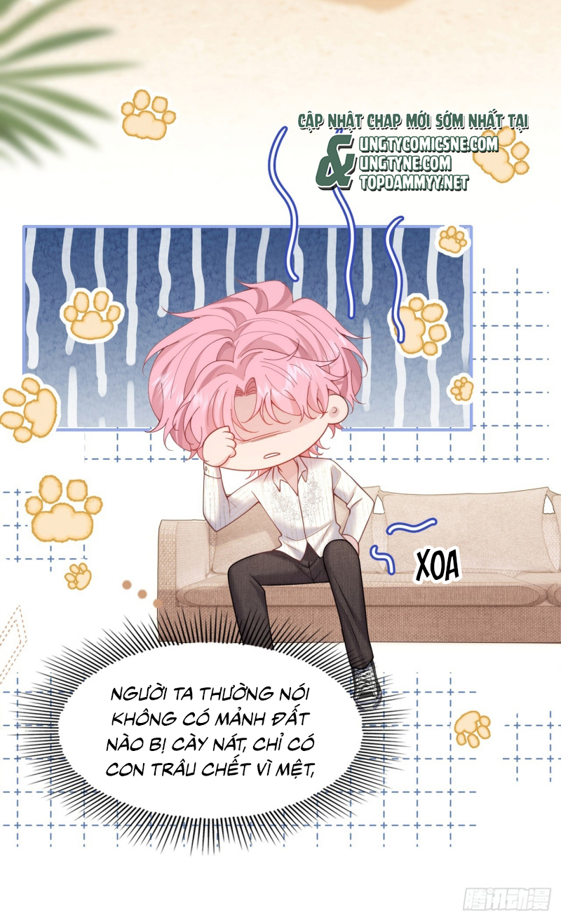 TÔI CỐ Ý GIẢ VỜ Chap 7 - Trang 2