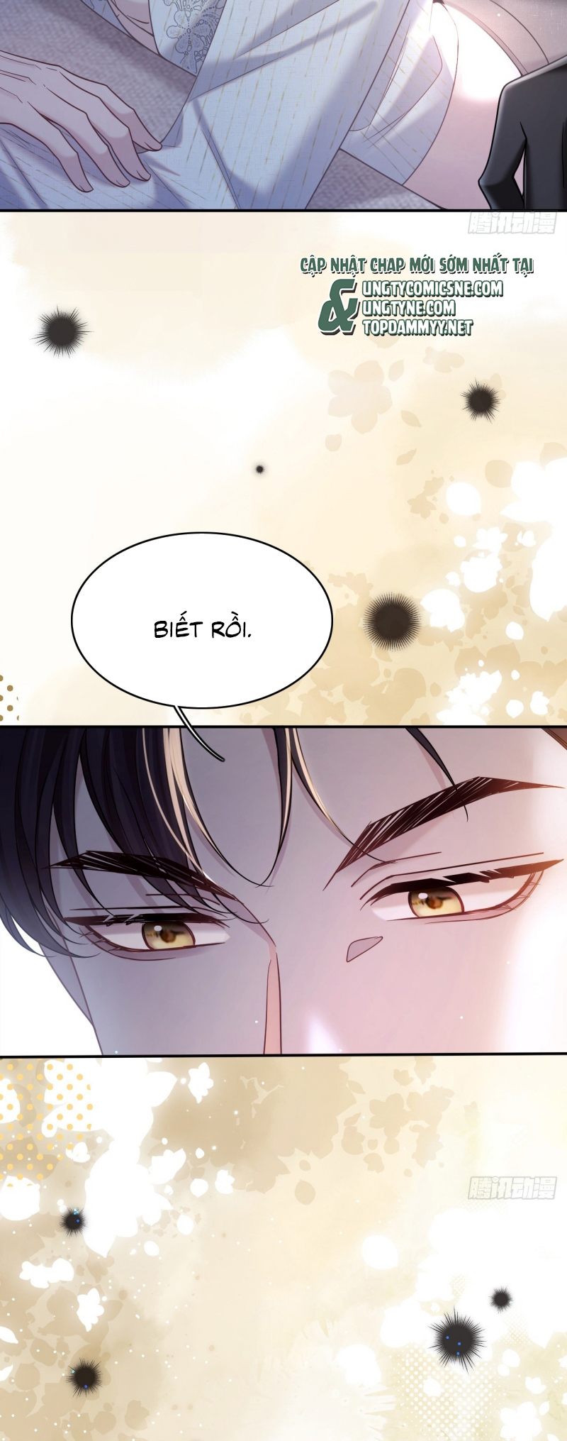TÔI CỐ Ý GIẢ VỜ Chap 7 - Trang 2