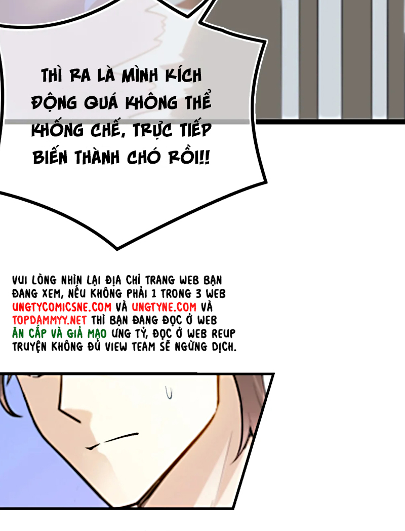 Đối Tượng Yêu Thầm Là Mèo Con Chap 3 - Trang 2