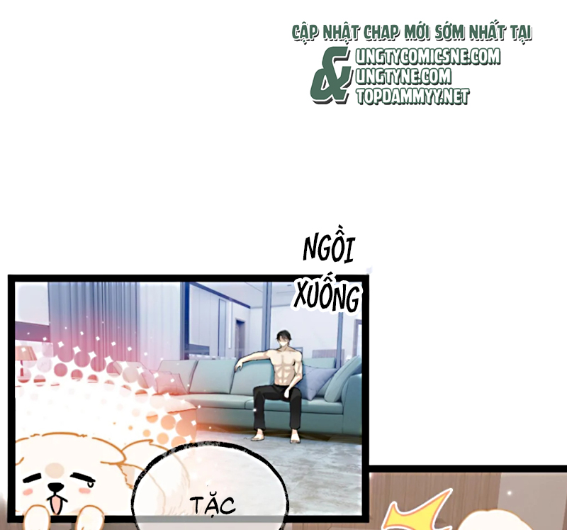 Đối Tượng Yêu Thầm Là Mèo Con Chap 3 - Trang 2