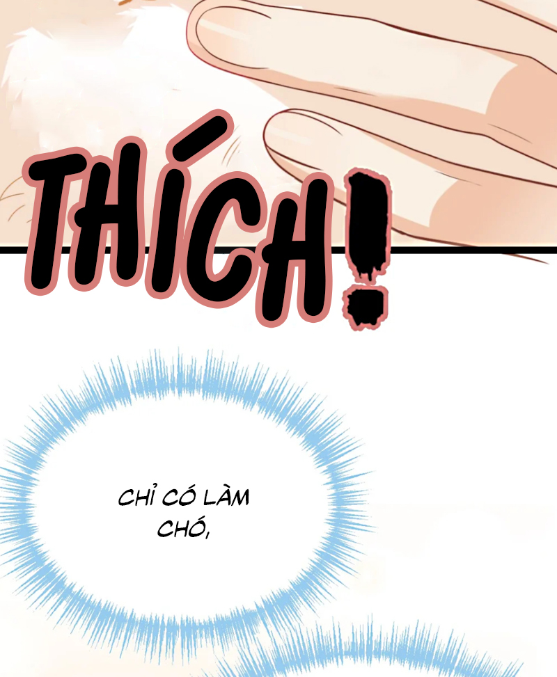 Đối Tượng Yêu Thầm Là Mèo Con Chap 3 - Trang 2