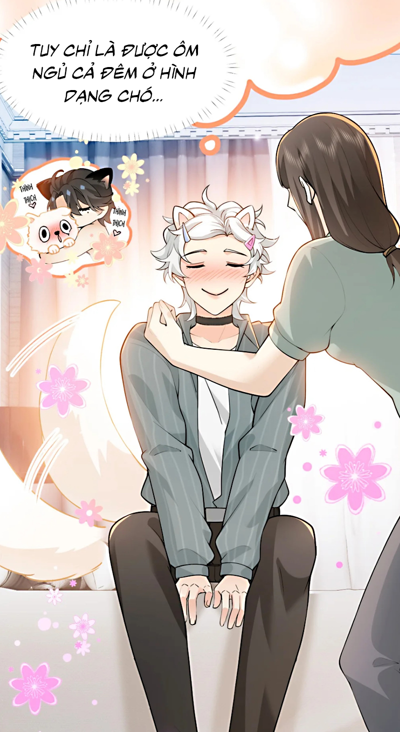 Đối Tượng Yêu Thầm Là Mèo Con Chap 3 - Trang 2