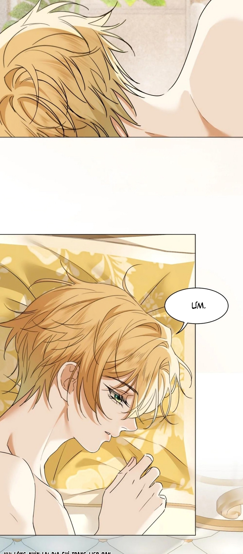 Vương Tử Bệnh Kiều Bị Báo Đen Chiếm Đoạt Đến Nghiện Chap 22 : End - Trang 2