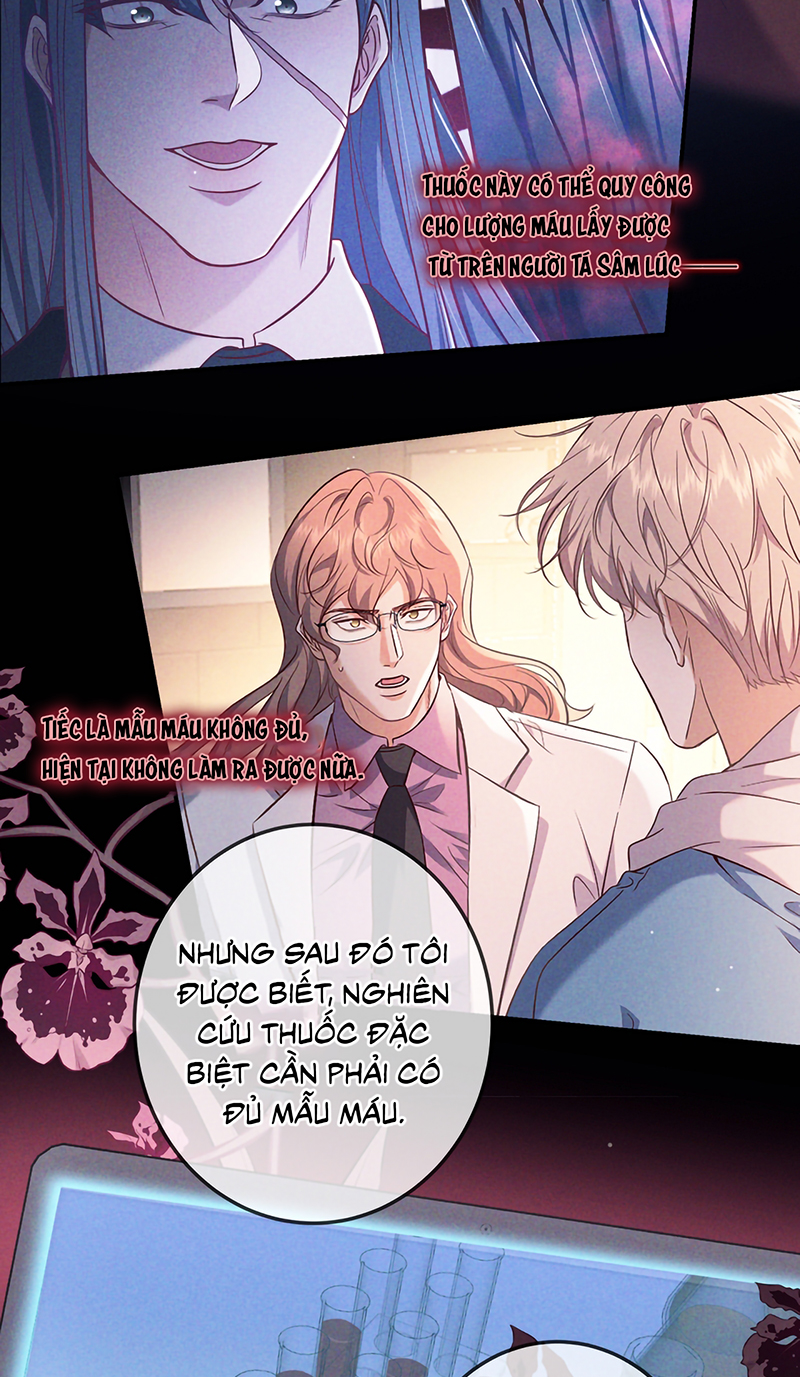 Đêm Tình Yêu Và Sát Ý Chap 88 - Trang 2