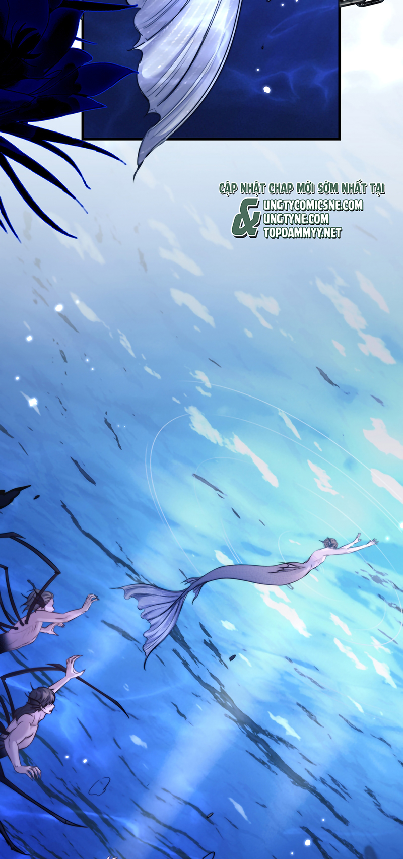 Desharow Nhân Ngư Chap 122 - Trang 2