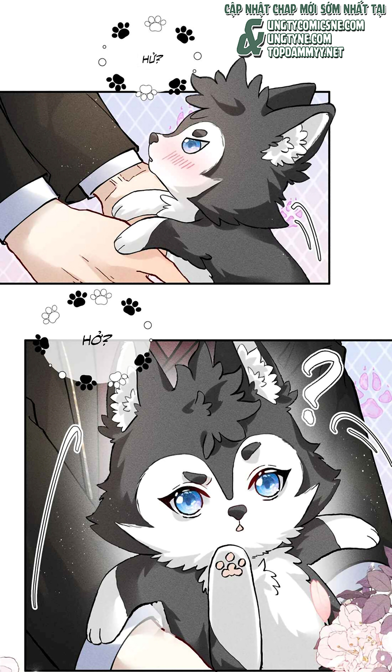 Nhận Kẻ Địch Làm Cha Chap 25 - Trang 2