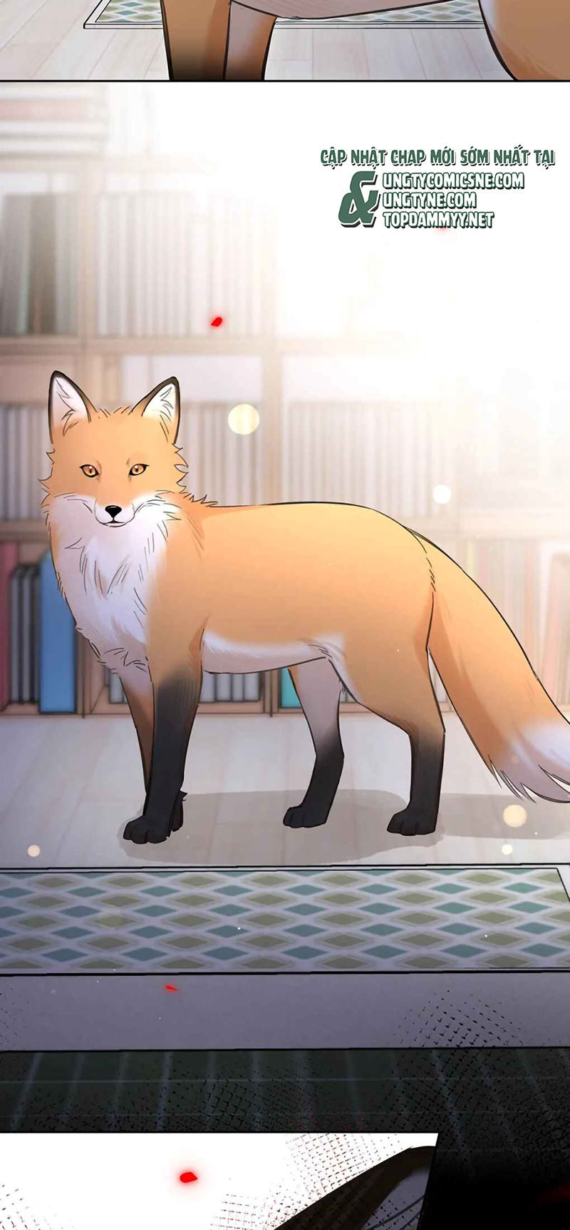 Lang Quân Muốn Chịu Trách Nhiệm Với Tôi Chap 31 - Trang 2