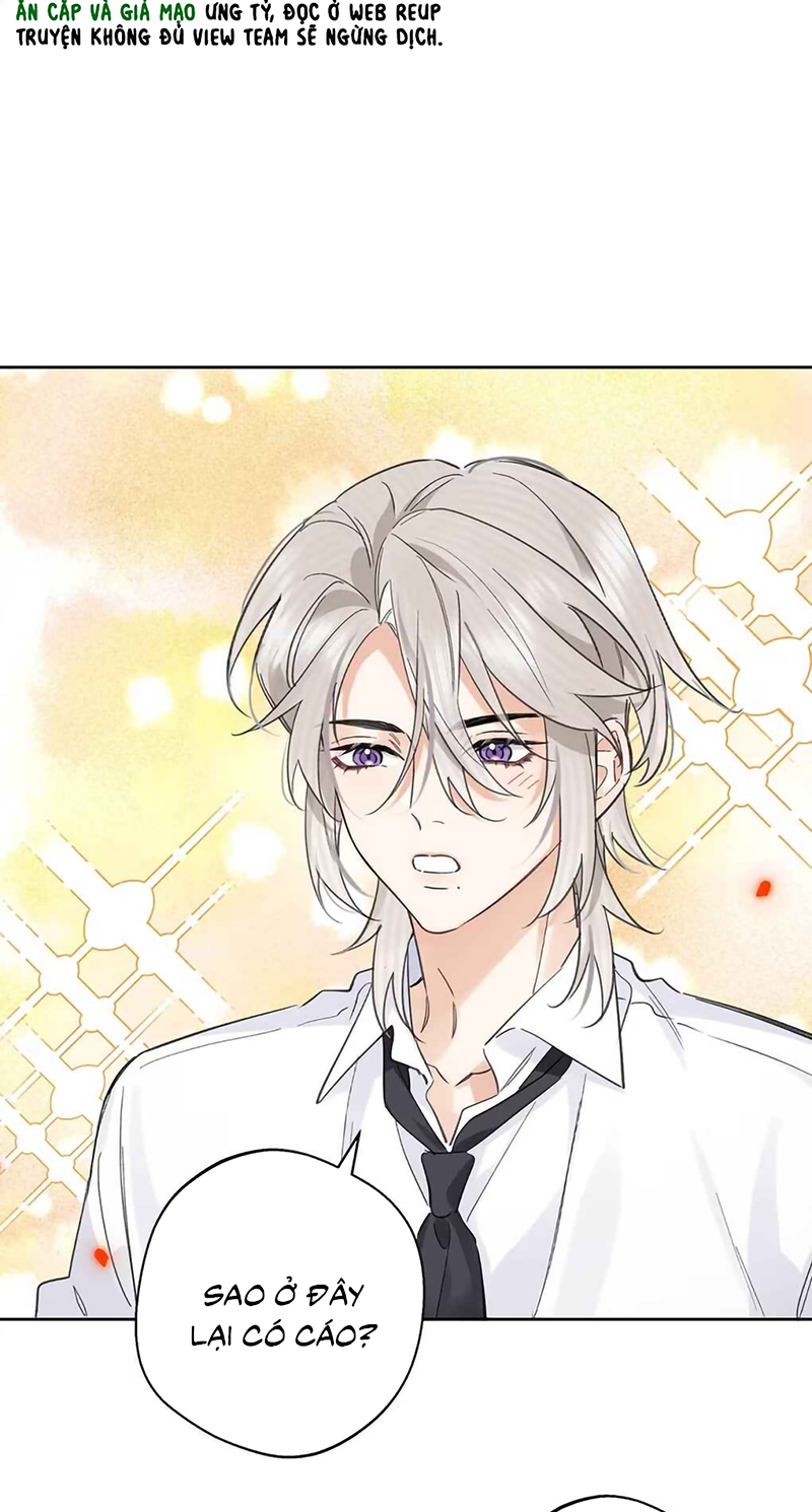 Lang Quân Muốn Chịu Trách Nhiệm Với Tôi Chap 31 - Trang 2