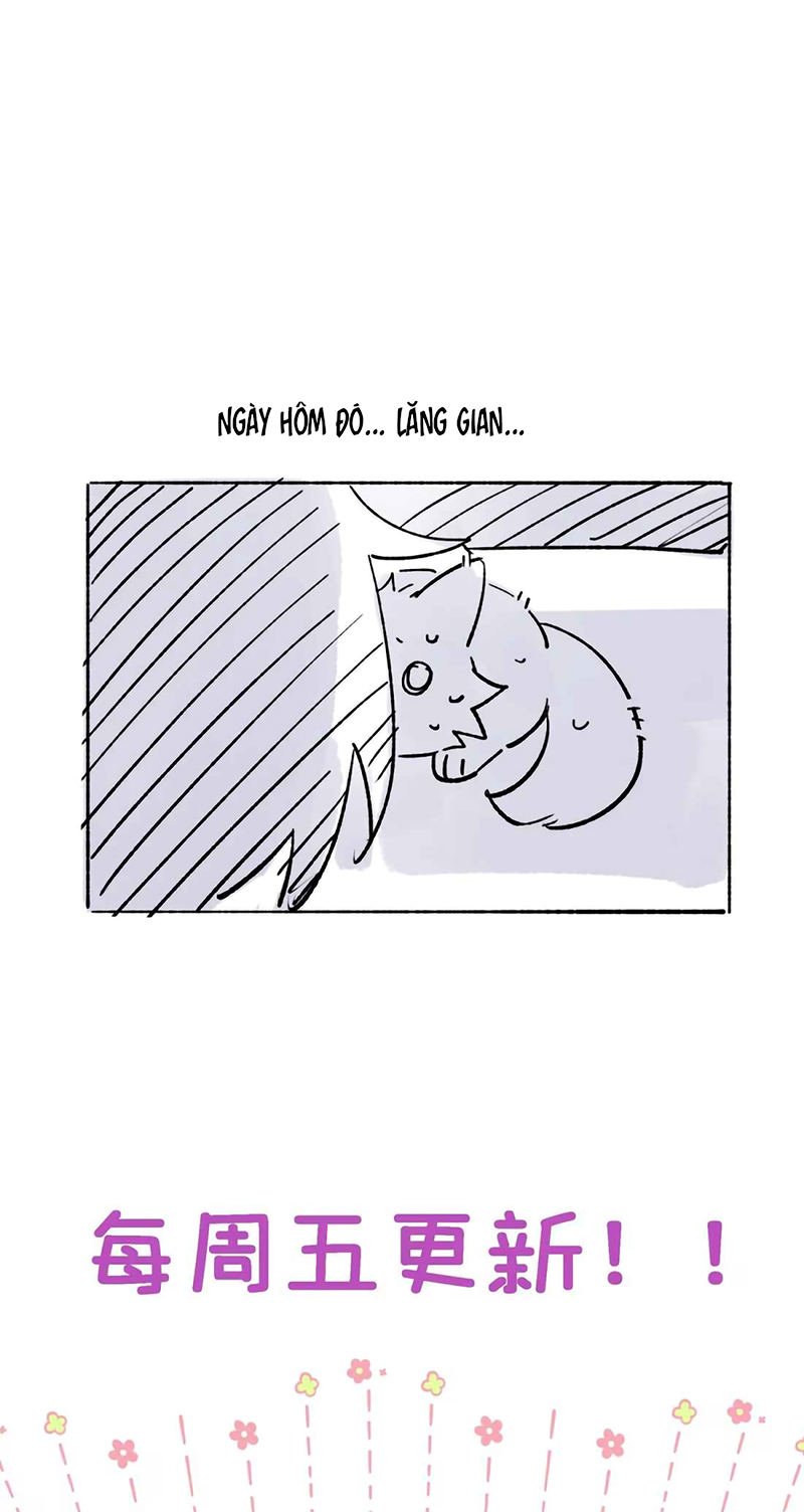 Lang Quân Muốn Chịu Trách Nhiệm Với Tôi Chap 31 - Trang 2