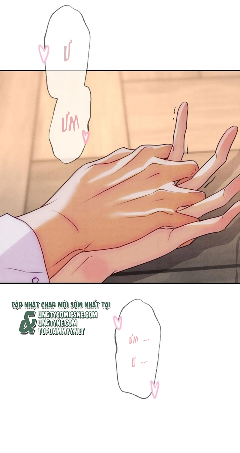 Xuyên Thành Con Ngỗng Vàng Của Đại Lão Alpha Chap 30 - Trang 2