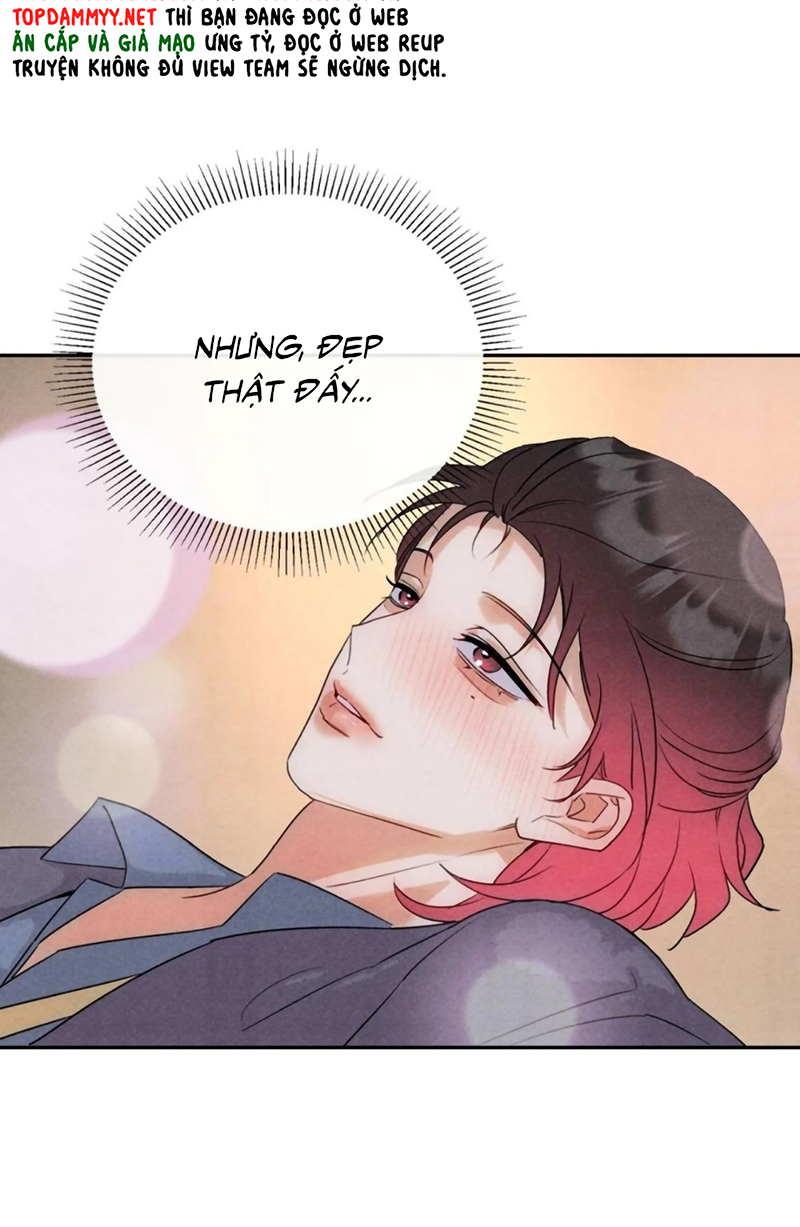 Xuyên Thành Con Ngỗng Vàng Của Đại Lão Alpha Chap 30 - Trang 2