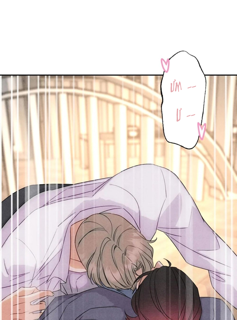 Xuyên Thành Con Ngỗng Vàng Của Đại Lão Alpha Chap 30 - Trang 2