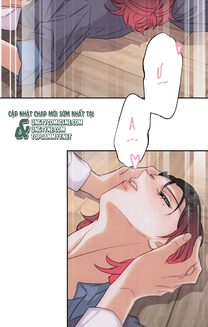 Xuyên Thành Con Ngỗng Vàng Của Đại Lão Alpha Chap 30 - Trang 2