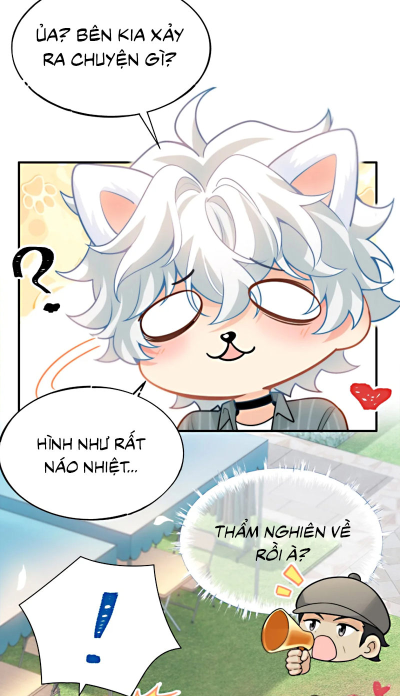 Đối Tượng Yêu Thầm Là Mèo Con Chap 4 - Trang 2