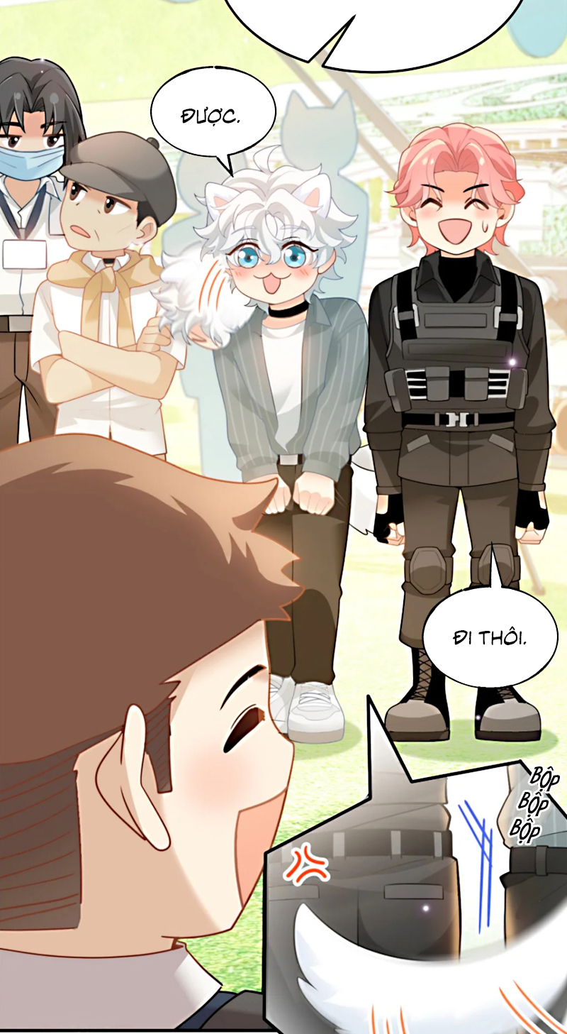Đối Tượng Yêu Thầm Là Mèo Con Chap 4 - Trang 2