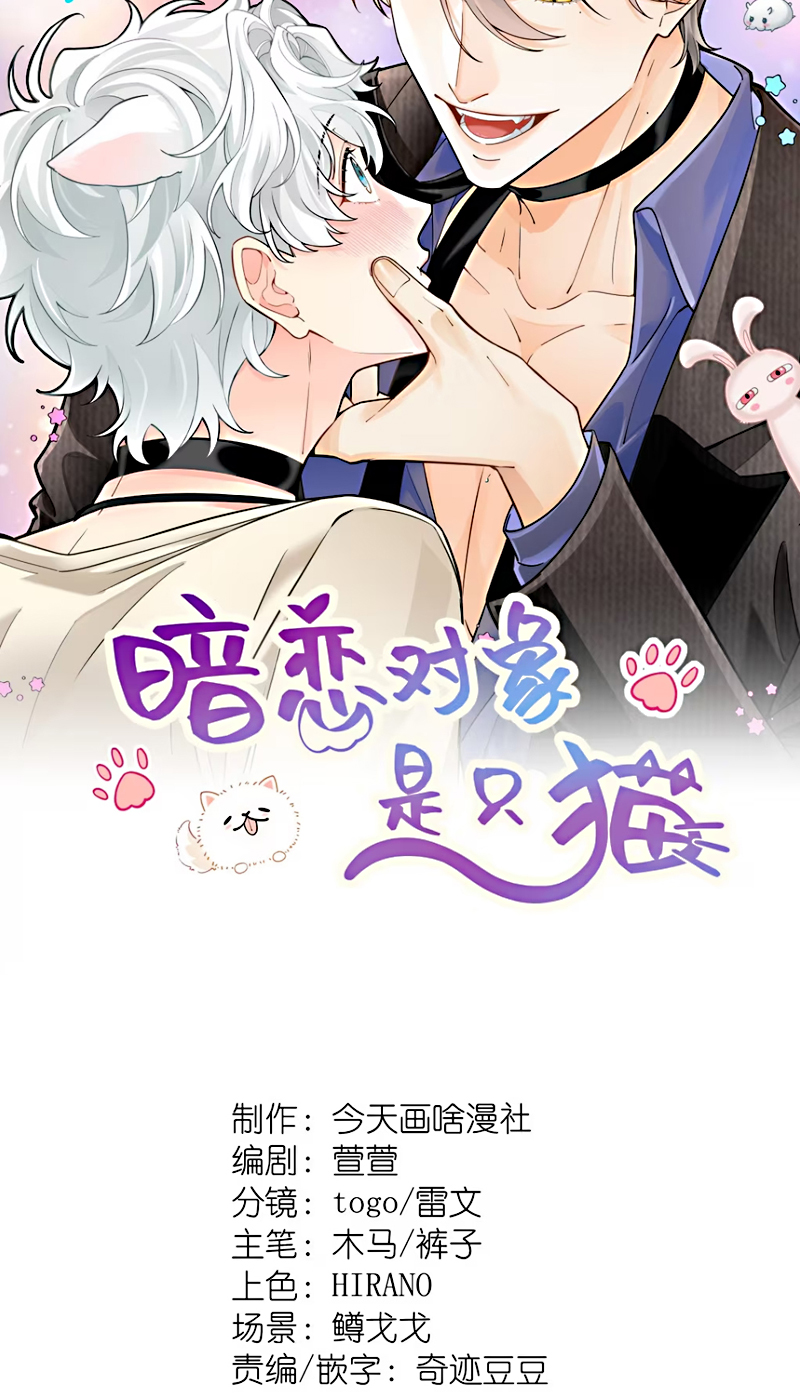 Đối Tượng Yêu Thầm Là Mèo Con Chap 4 - Trang 2