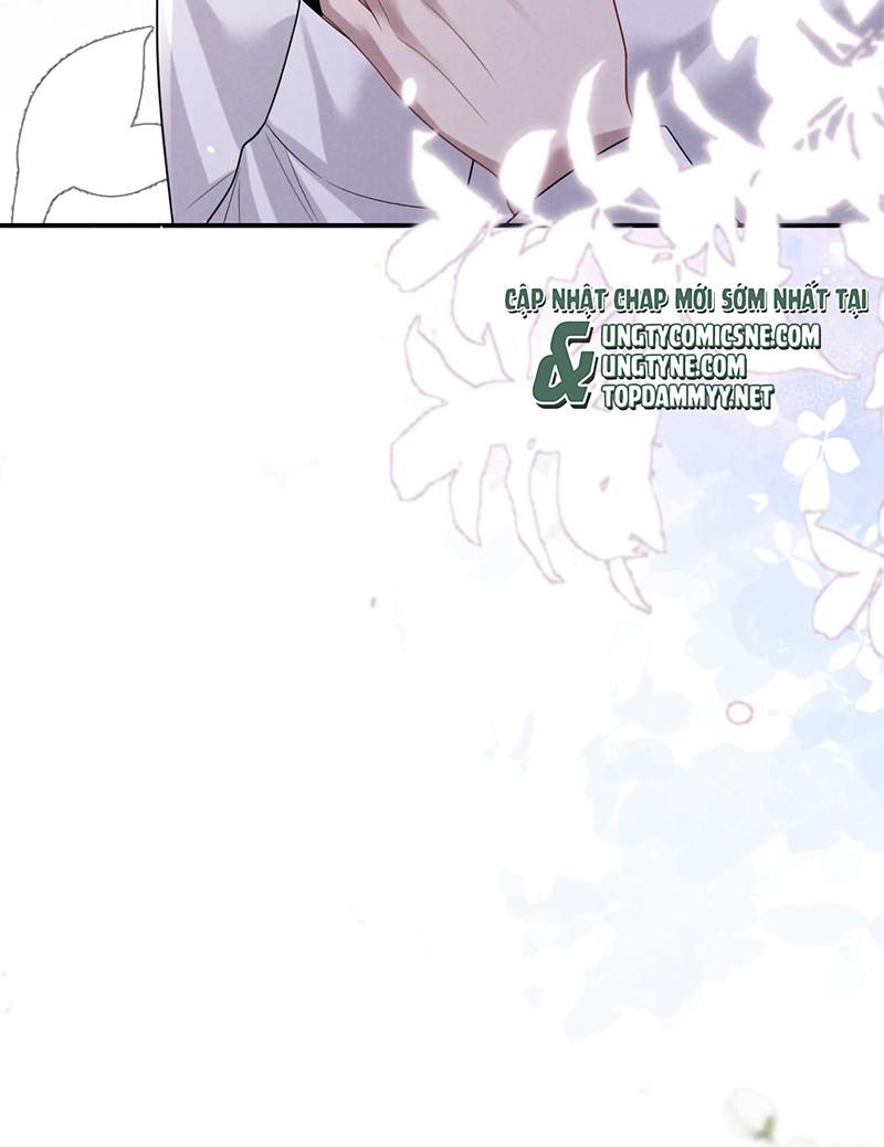 Chấp Sự Thỏ Cụp Tai Chap 188 - Trang 2