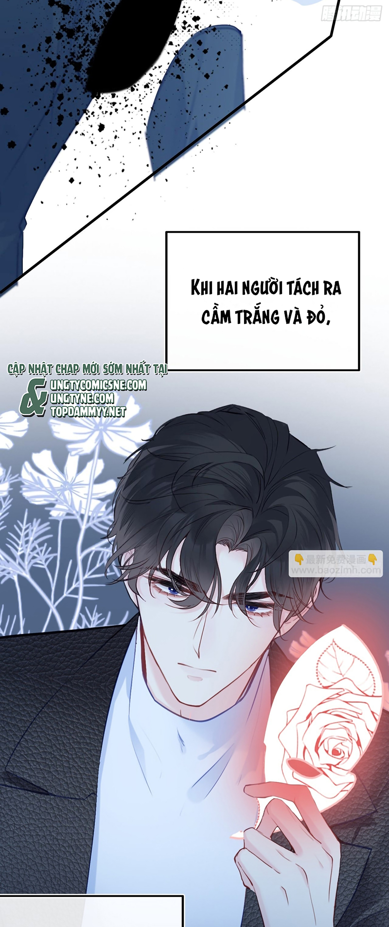 Anh Ấy Chưa Từng Rơi Xuống Chap 152 - Trang 2