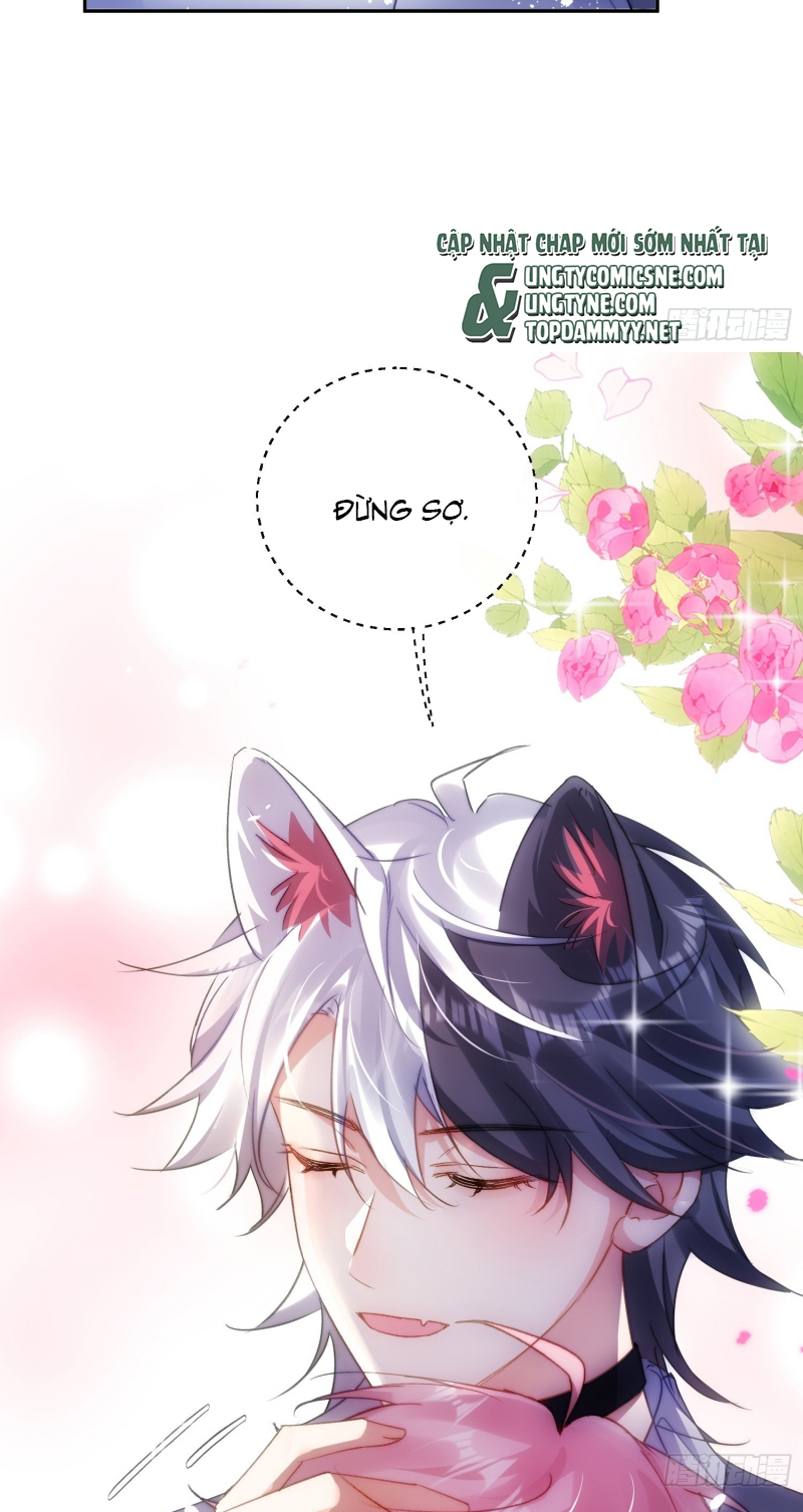 CẢ VŨ TRỤ ĐỀU MUỐN THÂN THIẾT VỚI TÔI Chap 10 - Trang 2