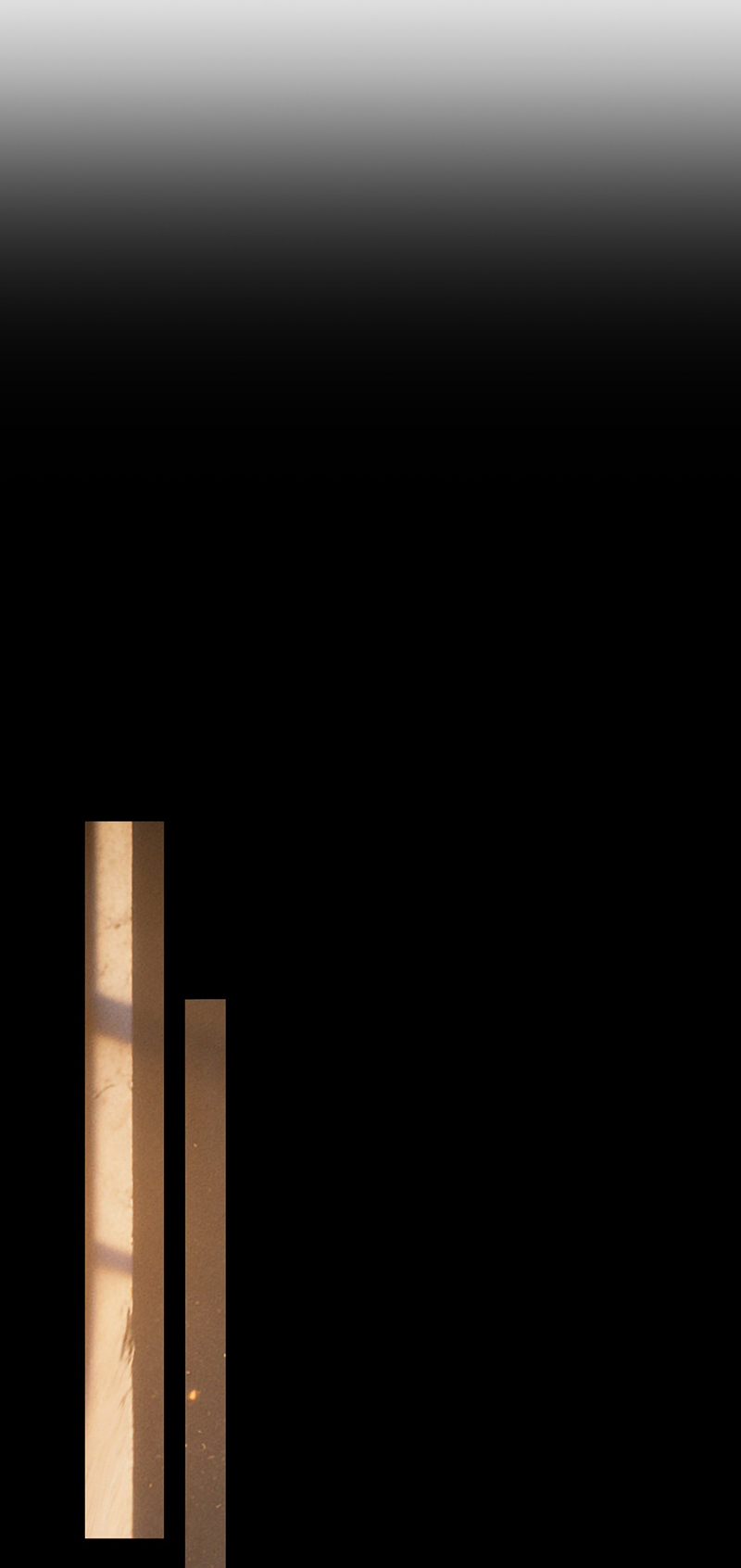 Nhân Vật Chính Chỉ Muốn Yêu Đương Chap 262 - Trang 2