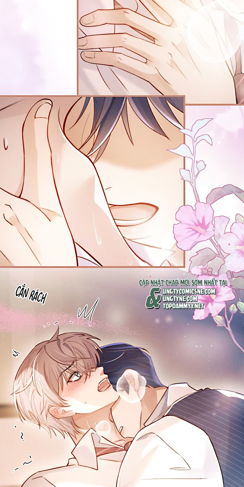 Tiêu Rồi, Sau Khi Bị Đánh Dấu Sinh Trứng Rắn Rồi Chap 1 - Trang 2