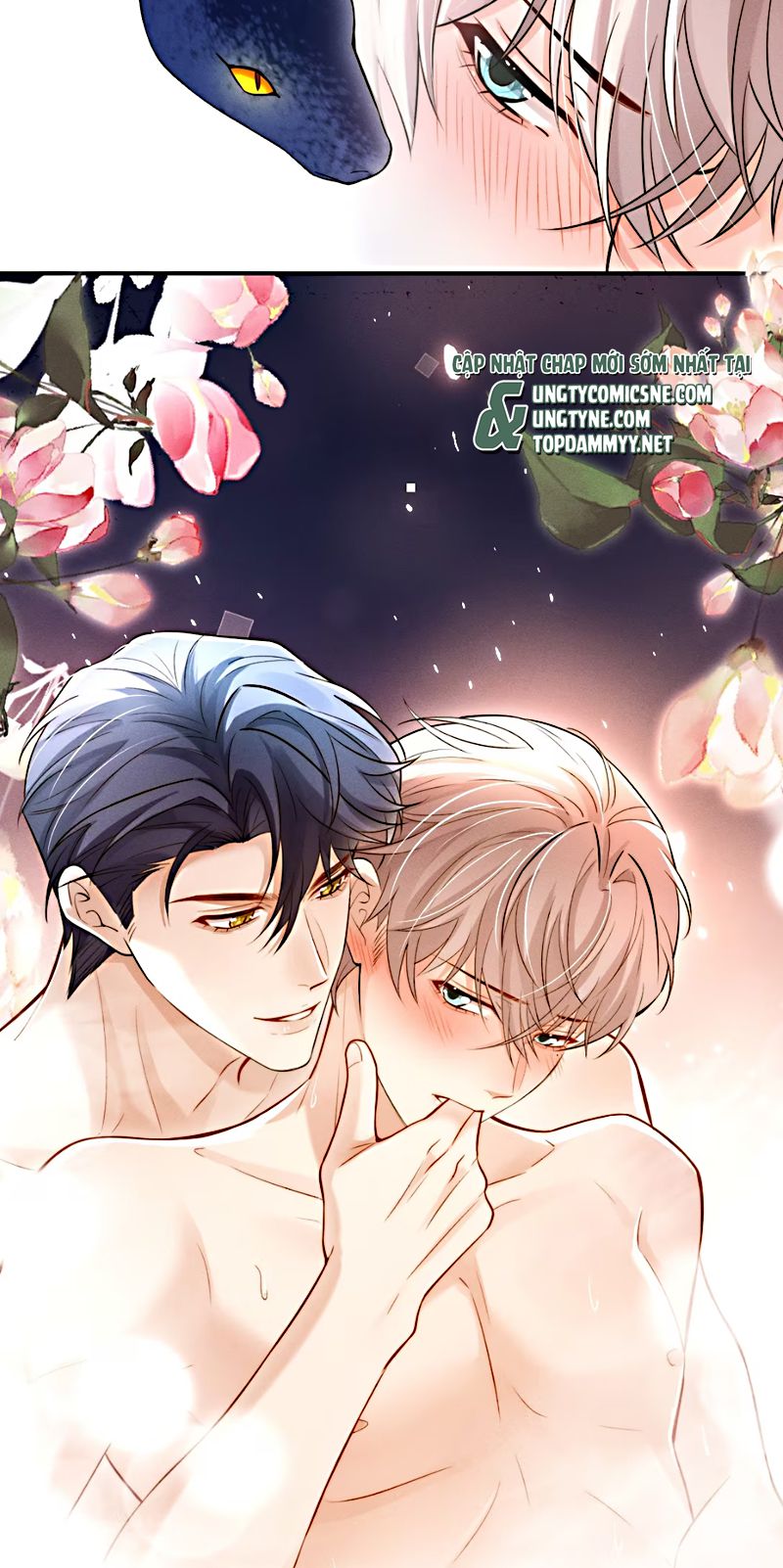 Tiêu Rồi, Sau Khi Bị Đánh Dấu Sinh Trứng Rắn Rồi Chap 2 - Trang 2