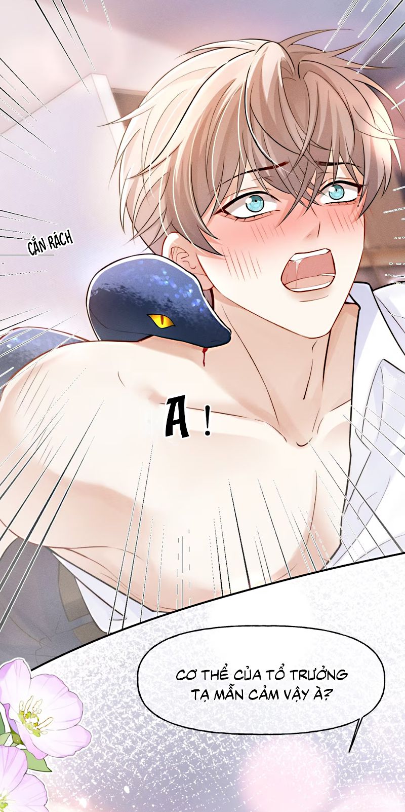 Tiêu Rồi, Sau Khi Bị Đánh Dấu Sinh Trứng Rắn Rồi Chap 4 - Trang 2